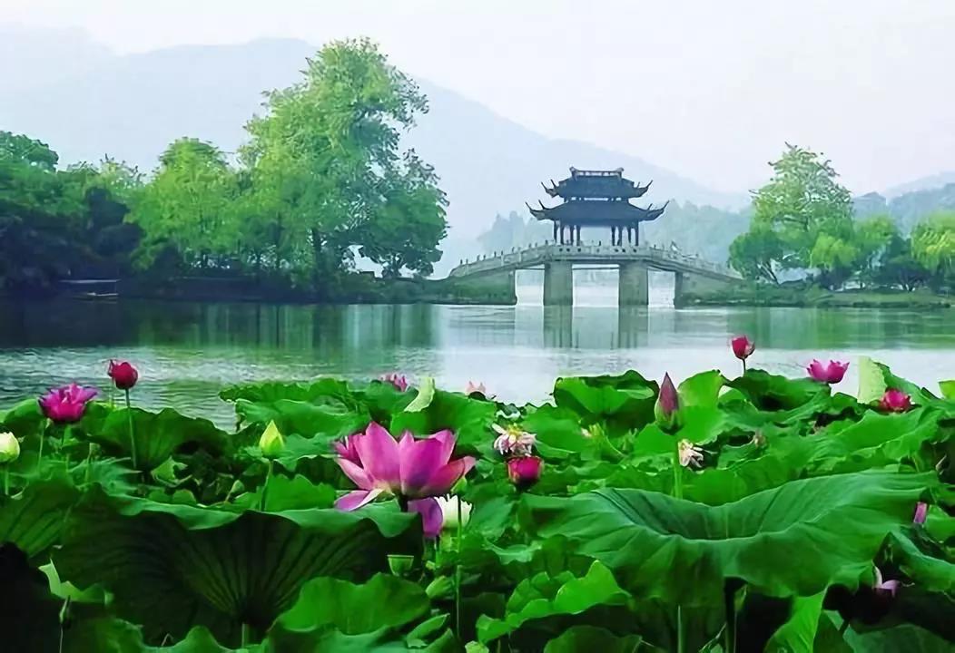 微信图片_20180605103249.jpg